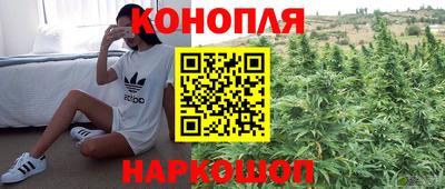 spice Малоярославец