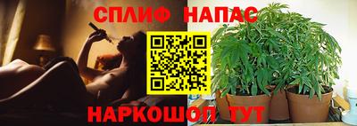 гидропоника Ипатово