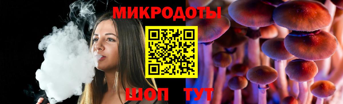 Шебекино  Галлюциногенные грибы прущие грибы  Галлюциногенные грибы мицелий  Вход с VPN 